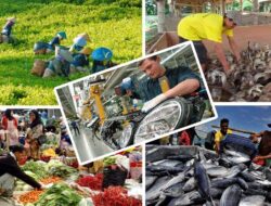 Perekonomian Maluku Didorong Oleh Sektor Pertanian perikanan Dan Perdagangan