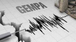 Gempa Terkini Magnitudo 5.8 Guncang Maluku Barat Daya